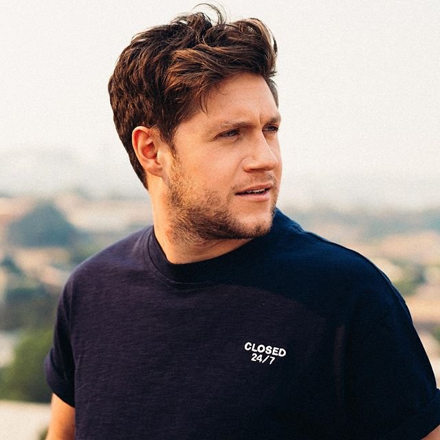 Niall Horan (One Direction) Wiki, Bio, Age, Height, Weight, Girlfriend, Family, Career, Net Worth, Facts