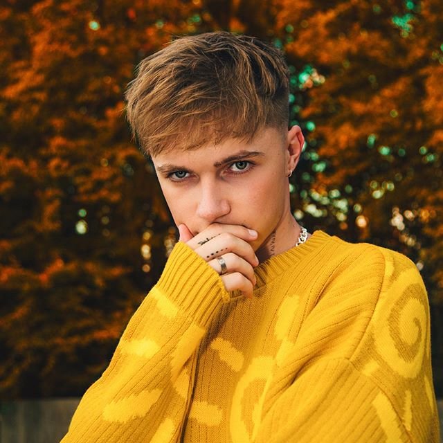 HRVY (Singer) Wiki, Bio, Age, Height, Weight, Girlfriend, Net Worth, Family, Career, Facts