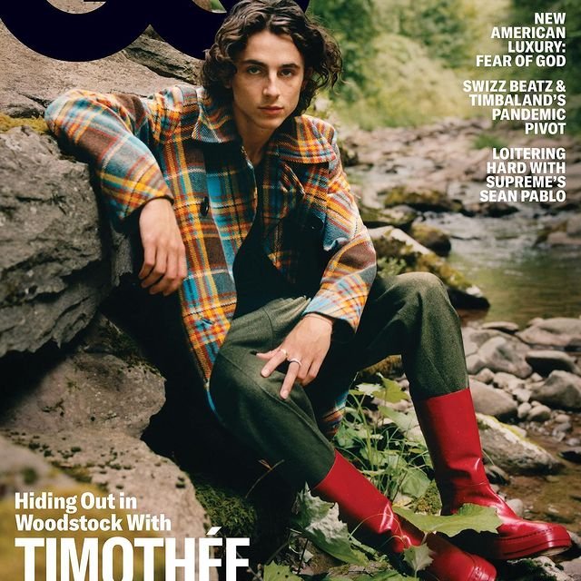 Timothée Chalamet (Actor) Wiki, Bio, Age, Height, Weight, Girlfriend, Net Worth, Career, Facts