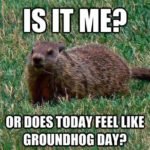 groundhog-day-meme-2022