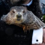 what-does-it-mean-when-the-groundhog-dies