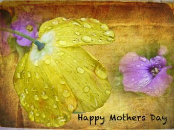 special happy mothers day quotes