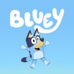 bluey-heeler-bio