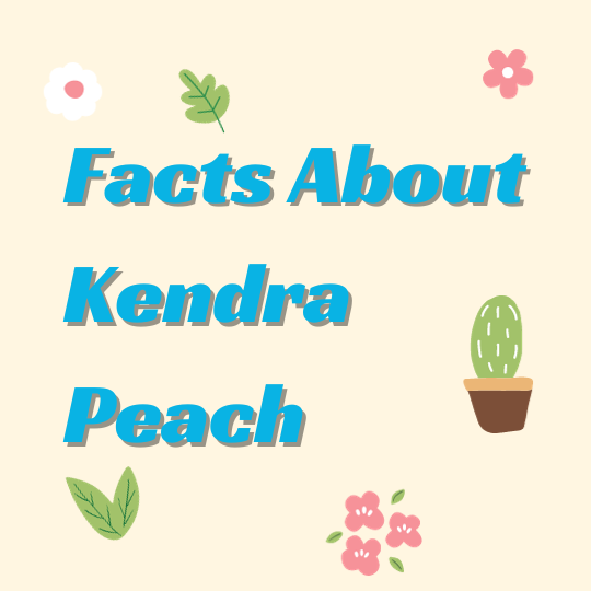 kendra-peach-dating
