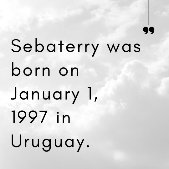 sebaterry-age