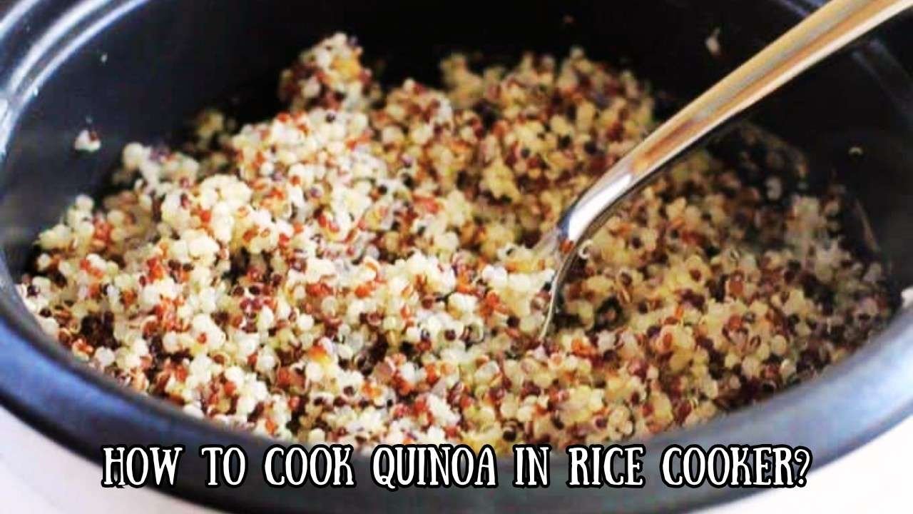 how-to-cook-quinoa-in-rice-cooker