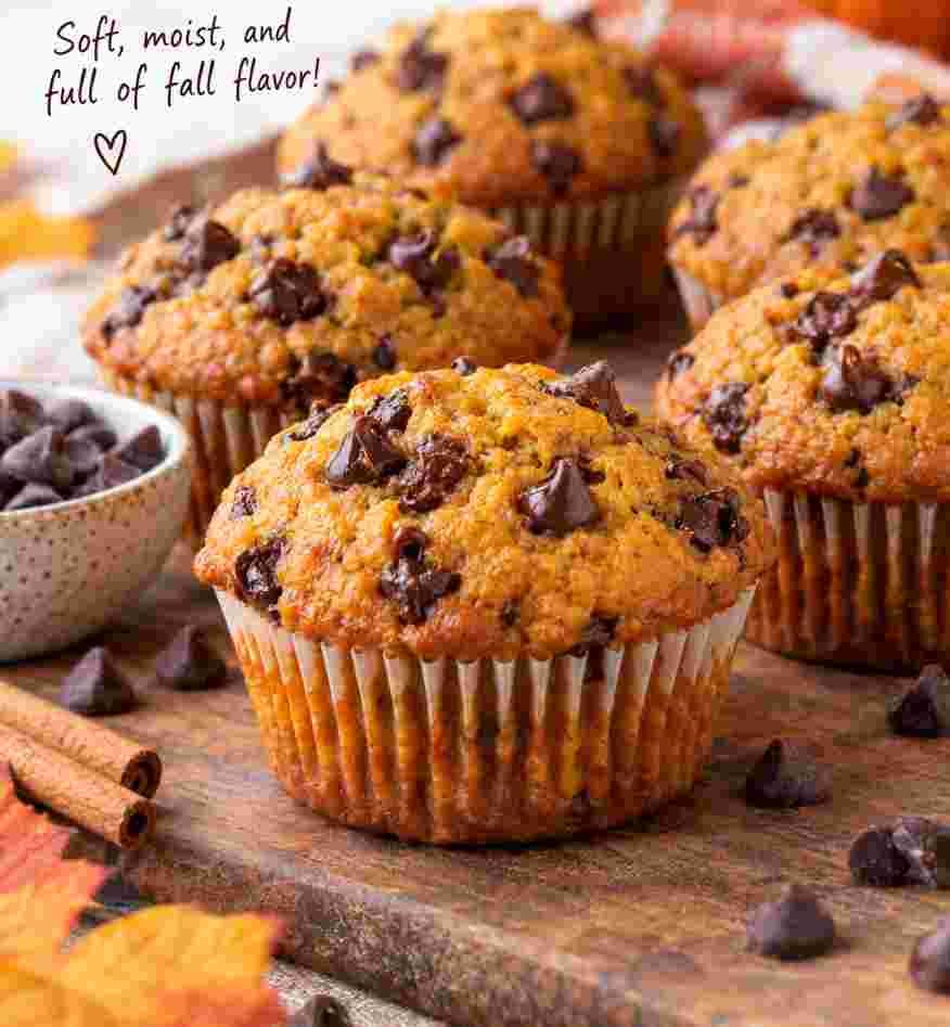 Pumpkin Chocolate Chip Muffins Pumpkin Chocolate Chip Muffins